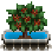 Файл:ArabicaCoffee-harvest.png