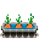 Файл:Carrots-harvest.png