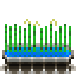 Файл:Rice plant.png