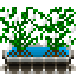 Файл:Eggyplant-harvest.png