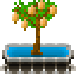 Файл:HarvestCacao.png