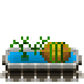 Файл:Alchomelon plant.png