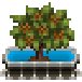 Файл:LibericaCoffee-harvest.png
