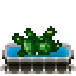 Файл:SusKapusta.png