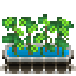 Файл:Hops plant.png