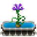 Файл:CosmotubeFlower.png