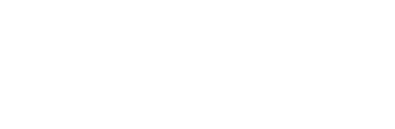 Файл:Boosty wordmark white.png
